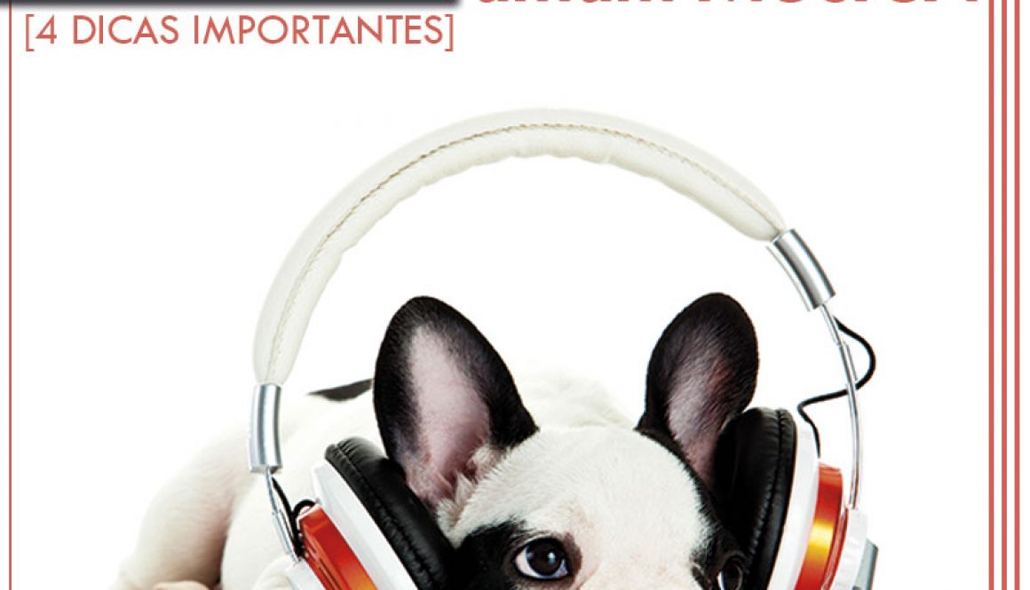 Serenata-On-Line-ARTES-online-virtual-pet-pets-cachorro-gato